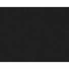 Стекло запасное для маски 12240 (110х90 мм)